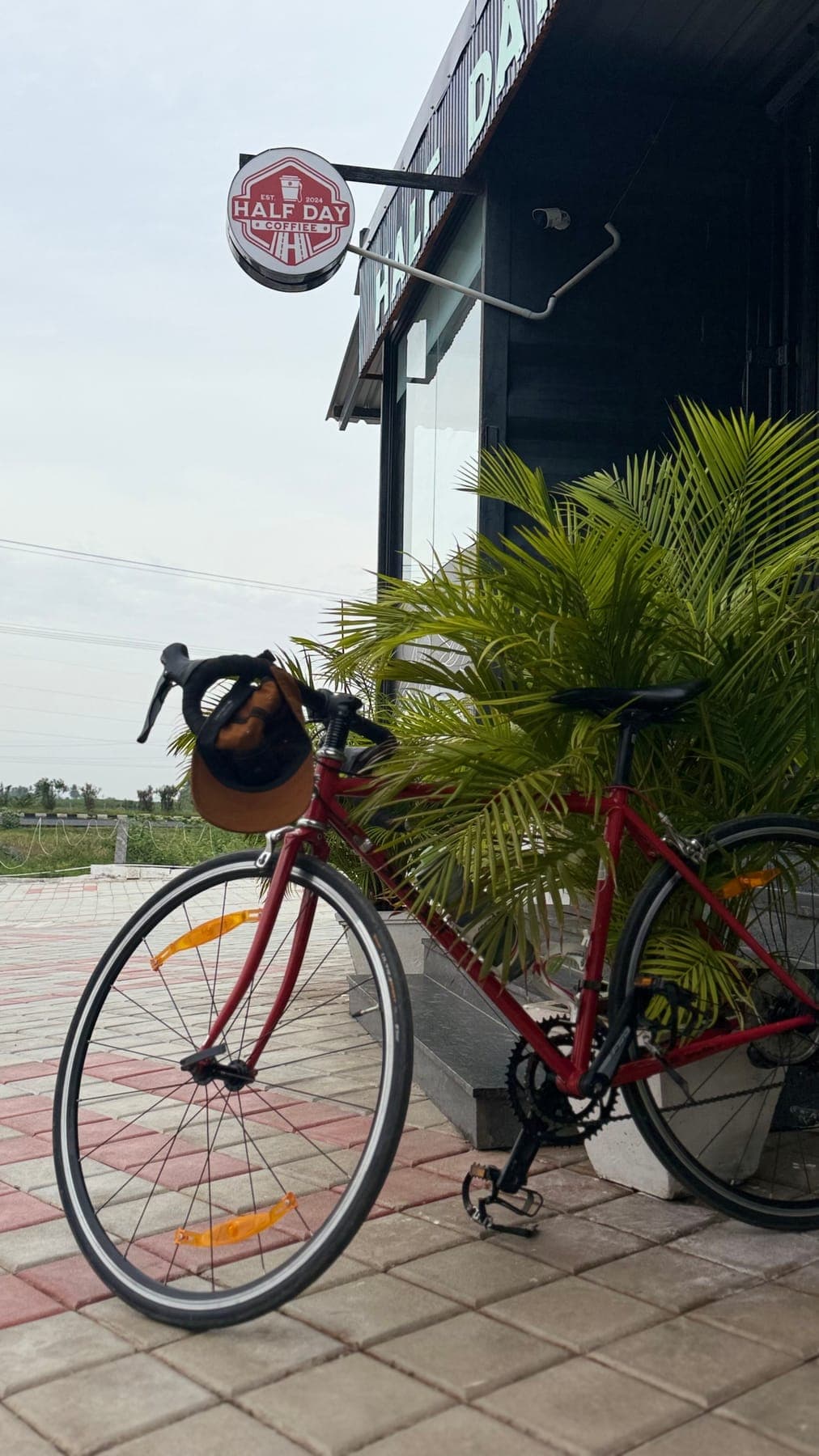 The Cyclists