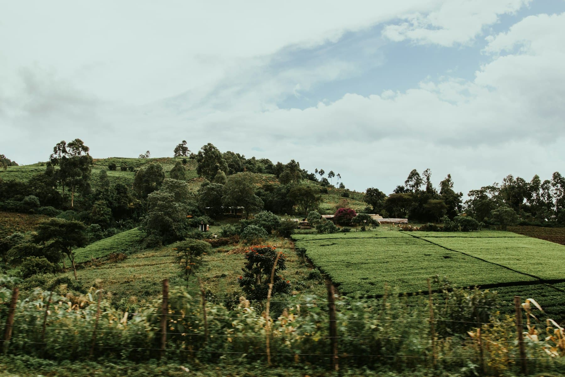 Aerial view of highland farmland terraces in Kenya's central highlands
